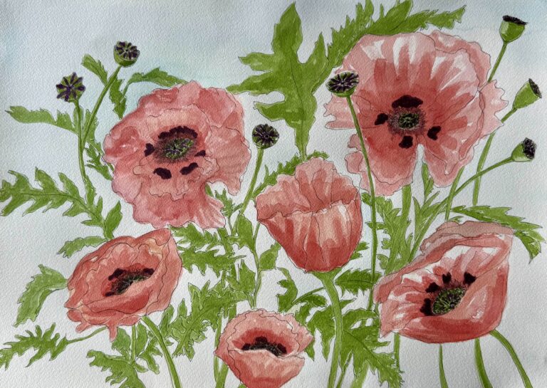 mclaughlin jean 768x545